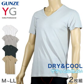 【5/25(土)エントリー＋複数購入でP10倍】グンゼ YG DRY&COOL VネックTシャツ 2枚組 M～LL (GUNZE DRY&COOL Tシャツ 男性 紳士 インナーシャツ インナーウェアー 夏 吸汗速乾 ムレ緩和 抗菌防臭 消臭 M L LL)