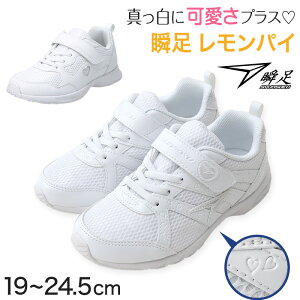 �u�� ���̎q �X�j�[�J�[ �� �������p�C ���X�j�[�J�[ �X�N�[�� �V���[�Y 2E 19cm�`24.5cm �O���� �z���C�g �A�L���X �w�Z ���w�Z �W���j�A �q�� �C 20cm 21cm 21.5cm 22cm 22.5cm 23cm 23.5cm 24cm