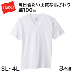 【5/25(土)エントリー＋複数購入でP10倍】ヘインズ メンズ VネックTシャツ 3枚組 BIG 3L・4L (Hanes Global Value Line 綿100 インナー アンダーウェア 肌着 下着)