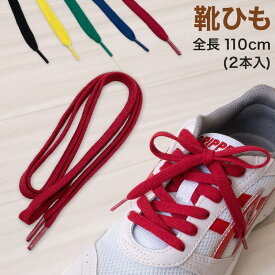 【要エントリー★2/15は抽選でポイントバック！】靴紐 靴ひも シューレース 2本入り 約110cm (くつひも スニーカー シューズ 通学 学校 ジュニア 子供)