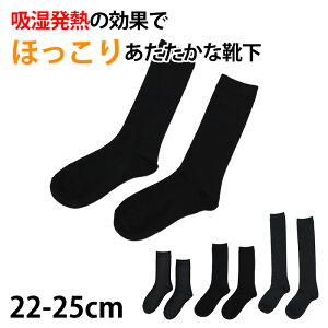 y11/25͒Iōő100%PobNzfB[X wl nC\bNX zM 22-25cm (fB[X \bNX     AEgbg )y݌Ɍz