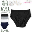 【7/20エントリー★抽選で最大100％ポイントバック】メンズ パンツ 綿100% セミビキニブリーフ 大きいサイズ 前開き 3L・4L 下着 ブリーフパンツ インナー 肌着 紳士肌着 男性 紳士 パンツ 綿100％ コットン 3L 4L