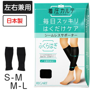 Je ӂ͂T|[^[ S-MEM-L (fB[X ނ  Ђ)