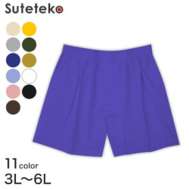 トランクス 綿100% メンズ 前開き S〜LL (下着 肌着 男性 紳士 紳士肌着 綿 パンツ 無地 インナー 日本製 3L 4L 5L 6L)【在庫限り】