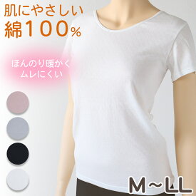 綿100% インナー レディース 肌着 半袖 M L LL (下着 綿 コットン ガーゼ 薄手 秋 冬 シャツ 黒 オフホ グレー ピンク)【在庫限り】