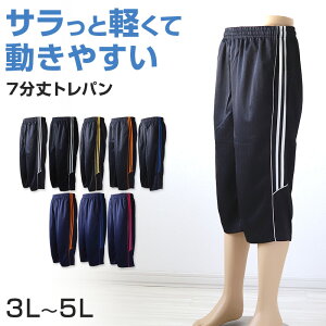 Y W[W  7pc Y{ 傫TCY n[tpc gp Y{ 3L`5L 3L 4L 5L W[Wpc   Y{P g[jOEFA  j 吡y݌Ɍz
