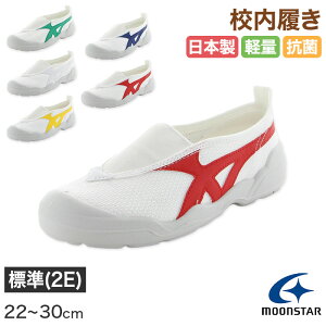 y11/25͒Iōő100%PobNzZ 㗚  C C wZ qC [X^[ oCILT 01 22cm`30cm moonstar ΂ YbN wZ wZ Z LbY WjA qy񂹁z