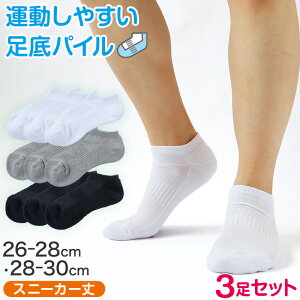 XN[\bNX   n Xj[J[ Ԃ pC NbV C w q (傫TCY) 3Zbg 26-28cmE28-30cm  O[ Xj[J[\bNX w Z ʊw \b