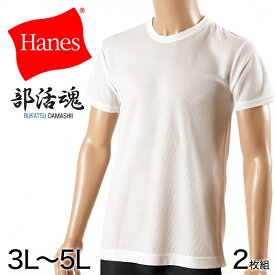 ヘインズ メンズ 半袖 Tシャツ 2枚組 3L～5L (インナーシャツ 大きいサイズ 3l 4l 5l 下着 白 無地 肌着 インナー シャツ メッシュ クルーネック hanes)