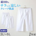 クレープ メンズ ステテコ 綿100% 大きいサイズ 2枚組 3L〜6L 大寸 ビッグサイズ クレープ素材 クレープ肌着 紳士 男…