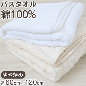 yvGg[11/15͒IŃ|CgobNIzoX^I 100 Rbg z ς y 炩 ӂ n Vv 60x120cm C oX[ gC  ӂg