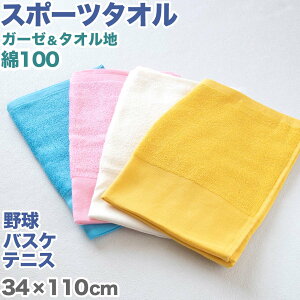 X|[c^I  ejX TbJ[ 싅 oXPbg{[ n 100 z pCn K[[ g₷ ǂ WjA w Z   sN F 34cm×110cm