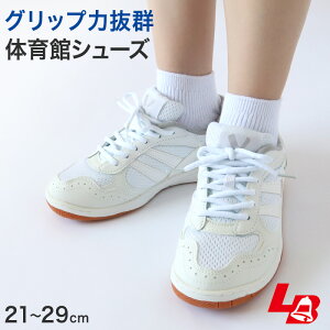 yvGg[11/5͒IŃ|CgobNIz̈كV[Y ̈ٗ  㗚 Z wZ XN[V[Y Xj[J[ qC RC 21cm`29cm bL[x A[i500  