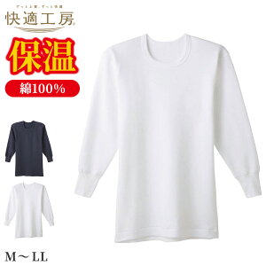 KH[ am RbgoL[ ێVc Y O[ M L LL Ci[ 100  h ۉ ~p   A_[EFA eDȂ ێ ݌v  Vv 