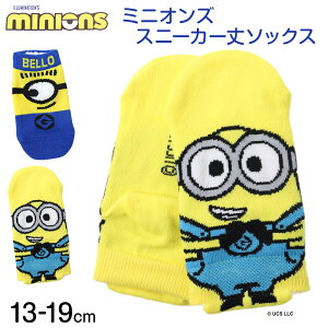 yvGg[12/5͒IŃ|CgobNIz~jIY@C LbY \bNX q qǂ LN^[  Xj[J[\bNX 13-19cm j̎q ̎q LN^[\bNX xr[ 