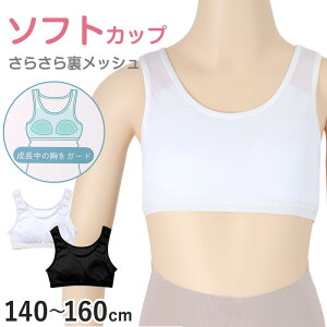 y11/25͒Iōő100%PobNzn[tgbv WjA bV Jbvt Ci[ 140cm 150cm 160cm ̎q XN[ w w q  LbY zbN mC[ Vv K