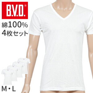 BVD  VlbN TVc Y Ci[  100  4Zbg M L 傫TCY K   ʋC  n Vc d˒p uh Ci[EFA Zbg  Snǂ 