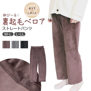 y11/25͒Iōő100%PobNzxApc N {g fB[X Opc  g ~ 10 [EFA M-L L-LL l  h  wl  ΍ ₦ 