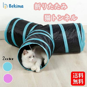 L gl T^ ˂gl Lbg gl 3t ybĝ L  a25CM IV ܂肽ݎ LV XgXU ^s΍ Lp  ETM ˂