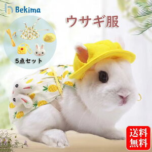  n[lX ETM [h p  ybg bgp    U opn[lX 킢 ڐn  LOBe  ybgpi ȒP ԕ 