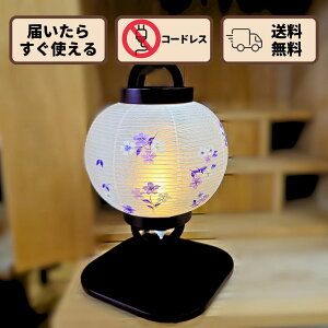 ~  Cbh j[q ^ ݂ dr LED R[hX 32.3cm ȒPg { ފ Hފ