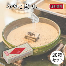 香炭 焼香炭 みやこ炭 A 赤小 松栄堂 20箱 48粒 送料無料 法事 香炉 仏壇 正月準備 正月 元旦