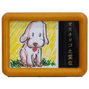 y9/4~X[p[SALEz ʔv 14.9cm×11,1cm  dẌSi z GAKU͂ J[ h 1t@ubN/zCg /O[/p[v/sN/`[N   d   