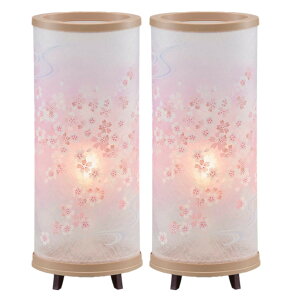 ]U Ƃ1  JF  53cm RZg 2  dẌSi ̂t ~j  _ d  ~ V~ Hފ