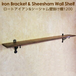 Ǌ|I ACA EH[VFt 1200mm 120cm  I [YEbh V[VEbh̕Ǌ|I1200