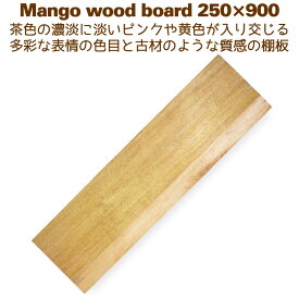 棚板 木材 DIY ラック ウォールシェルフ シェルフボード 25cm×90cm マンゴーウッド 250×900