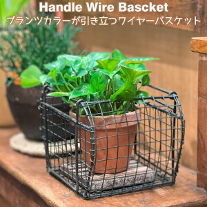 v^[|bg v^[Jo[ Jo[ |bgJo[ ACA Ԋ  nhtC[oXPbg