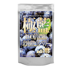 【期間限定】【メール便・定形外郵便等で送料無料】極藍100倍濃縮北欧産ビルベリー　大容量約6ヵ月分