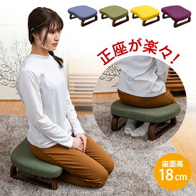 正座椅子 ricca(リッカ) / あぐら椅子 コンパクト座椅子 姿勢サポート 正座用 腰痛 和室 法事 テレワーク 足が楽 子供用 キッズチェア あぐら 正座 ロータイプ コンパクト 胡坐 美姿勢 こたつ 座卓 座敷椅子