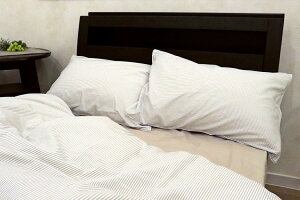 ܂Jo[ { 100 t@Xi[ CAMEL PALMS ׃{[_[ ɗD z  킢 i 43x63 35x50 s[P[X