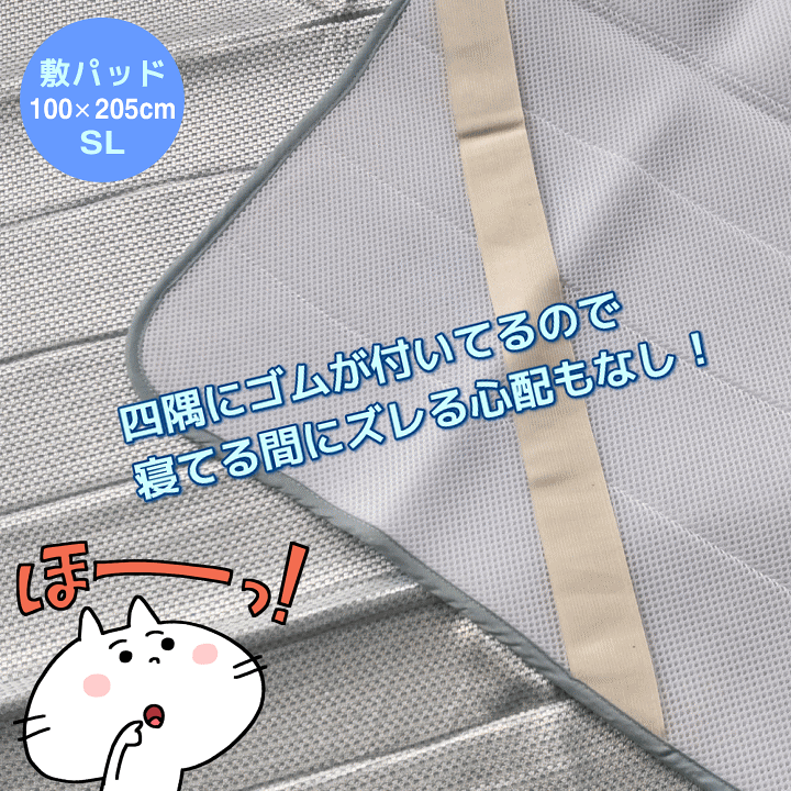 楽天市場】[送料無料] アイスマックス(R)クールエクストラ COOL