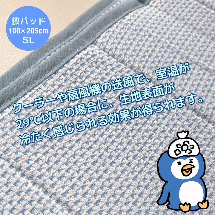 楽天市場】[送料無料] アイスマックス(R)クールエクストラ COOL