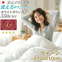 楽天市場】掛け布団 羽毛 210x210の通販