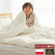 純ポーランド産 コウダ種 プレミアムマザーグース 羽毛布団 夏用 ダウンケット 肌掛け 日本製 プレミアム…