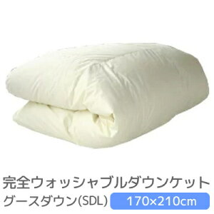 羽毛布団 夏用 セミダブル 170×210cm 洗える ダウンケット 羽毛肌 撥水加工グース使用 完全ウォッシャブルダウンケット(羽毛肌掛)ご家庭の洗濯機で安心して洗える 抗菌 防臭 夏用 日本製