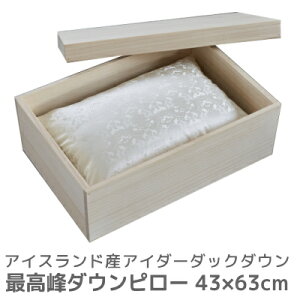 y|Cg5{z ACXhY AC_[_E [Hт̕ _Es[] 43×63cm H  H꒼ { {P^K  (_E yV Q Hт܂)