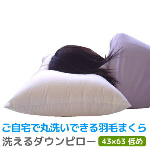 y300~OFFN[|z 􂦂 _Es[ H  300g 43×63cm ()  Hт܂ _E85 ƒ̐@Ő􂦂  H _E Q Mtg v[g 蕨 V 