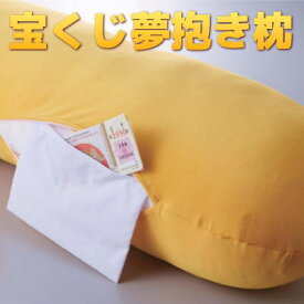 楽天市場 収納 抱き枕の通販 楽天市場 収納 抱き枕の通販