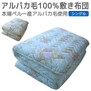 ~zc VOTCY { [] CVł킽{ApJ100 z̕~zc VOO 100×210cm ̓ Mtg v[g r VOp ~zc V