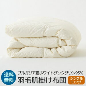 ダウンパワー400 シングルサイズ 掛け布団 羽毛」の人気商品一覧 