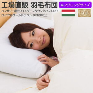 Hѕzc LOTCY cCLg H꒼̓{ CS[hxt nK[YO[X 230×210cm  Te HѕzccCLg w LOp tH[4,000