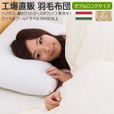【2,000円OFFクーポン】 羽毛布団 ダブル 2枚合せ 工場直売 日本製 ハンガリーグース ロイヤルゴールドラベル付き ダブルサイズ オールシーズン 二枚合せ 羽毛肌+合い掛け 羽毛布団 190×210cm デュエット リフォーム割引券4,000円分付
