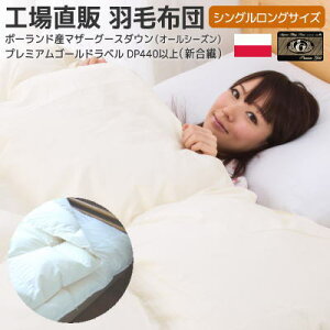 |[hYRE_}U[O[XV@ Ng 񖇍 HѕzcSL150×210cm Hѕzc H꒼ Yv~AS[h VO [] SP H Hѕzc VOp l炵 