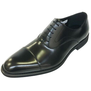 �P���t�H�[�h KP28 C24 �u���b�N 3E �X�g���[�g�`�b�v KENFORD by REGAL ���[�K��