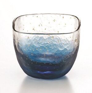 傱 pi  ]ˏɎq q 葢̂ۂ 65ml 1 