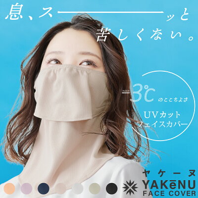 ヤケーヌスタンダード